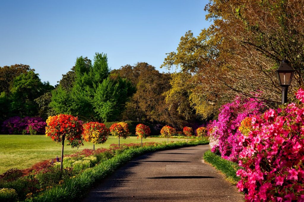 bellingrath-gardens-alabama-landscape-scenic-158028-158028.jpg